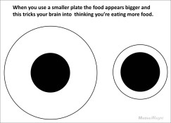 eat less by using smaller plates Motiveweight Blogspot com 243x175 - eat less by using smaller plates - Motiveweight_Blogspot_com