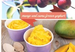 camu2 250x175 - camu camu frozen yoghurt
