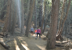 fitterfamily2 tips for a fitter family