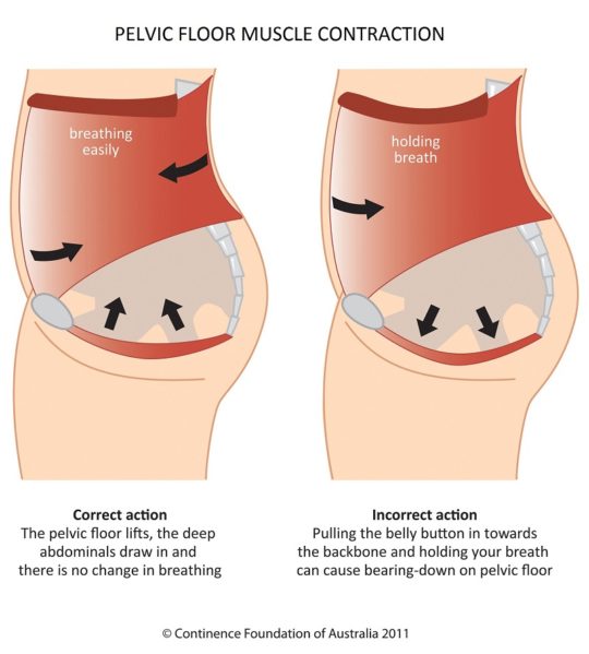 strengthen pelvic floor