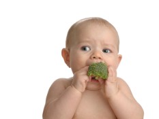 shutterstock 74689861 233x175 - nutritious baby food
