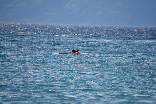 maui jim oceanfest board