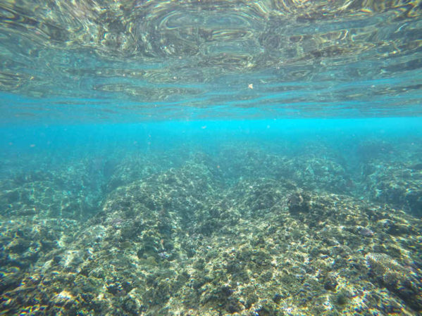 fiji waters fiji waters
