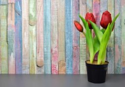 eating habits spring eating habits