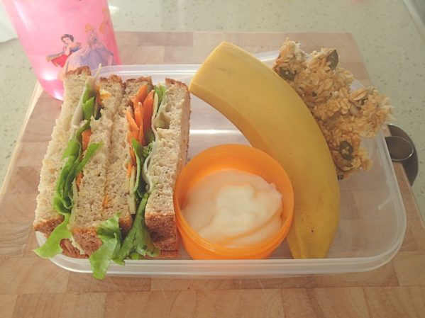 P5200264 599x449 - What's a Healthy School Lunchbox Look Like?