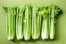 is celery good for you heres what an rd says 263x175 - autumn vegetables