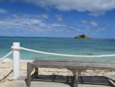 lord howe island lagoon beach