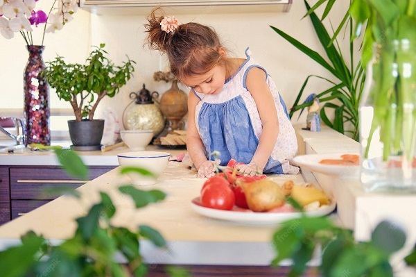 healthy little chef